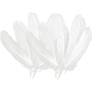 Plumas Blancas 12 piezas 15-18CM