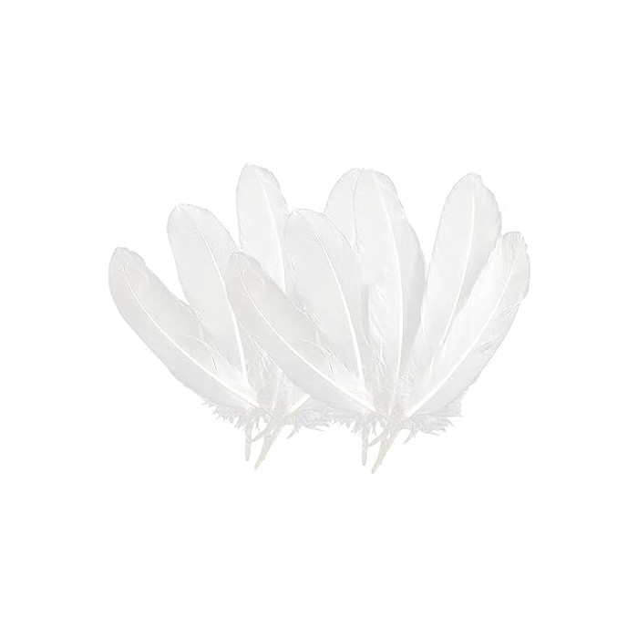 Plumas Blancas 12 piezas 15-18CM