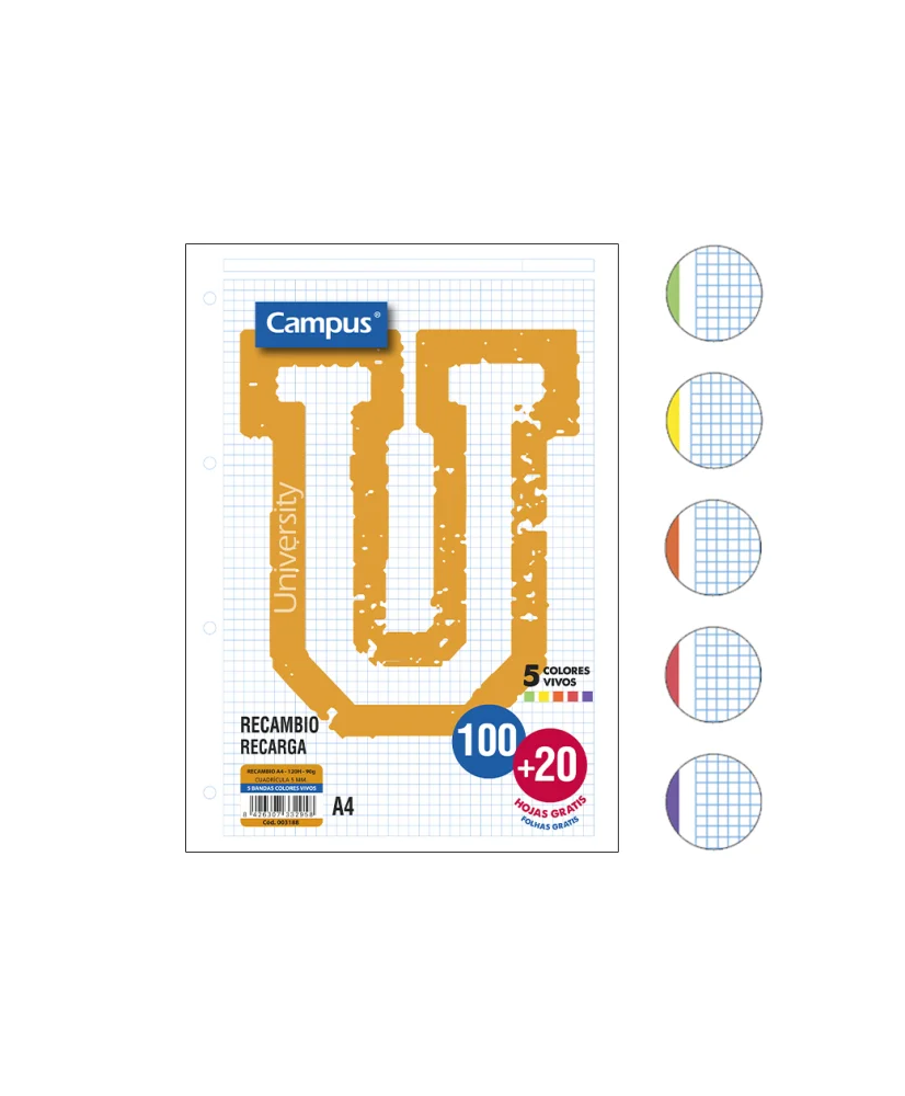 Campus-hojas rayadas A4 perforadas, recambio achivador Cuadrícula 5X5, 120 hojas, 4 taladros, 5 bandas de colores