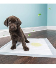 30 x Empapadores de Entrenamiento para Perros Gatos  tamaño:60x60cm